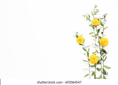 Creative arrangement with yellow flower and green leaves on white background. - Shutterstock ID 692064547