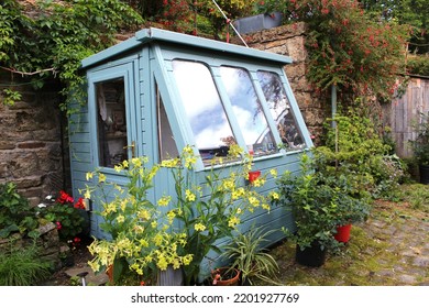 Creative art space. Wooden garden art studio surrounded by plants, flowers, woodland and Mother Nature. The perfect hideaway to be creative. Clouds reflecting in the windows. - Shutterstock ID 2201927769
