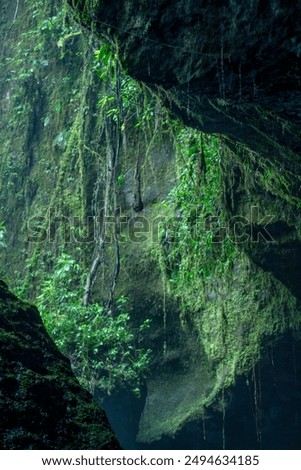 Creative and artistic composition in the Cueva del Esplendor, cave of splendor, Jardin, Jardín, Antioquia, Colombia. Rocks, water splashing, moss, green vegetation, dampness, humidity, tropical.
