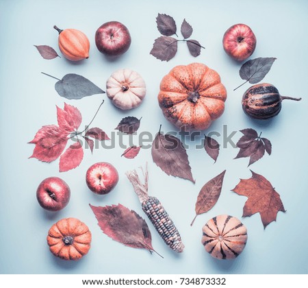 Similar – Autumn still life with pumpkin and leaves