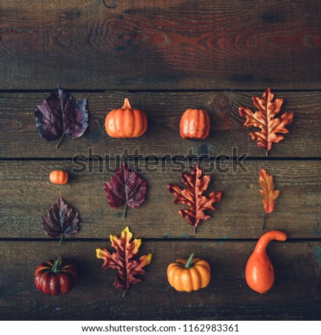 Similar – Autumn still life with pumpkin and leaves