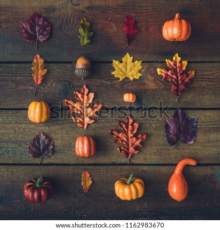 Similar – Autumn still life with pumpkin and leaves