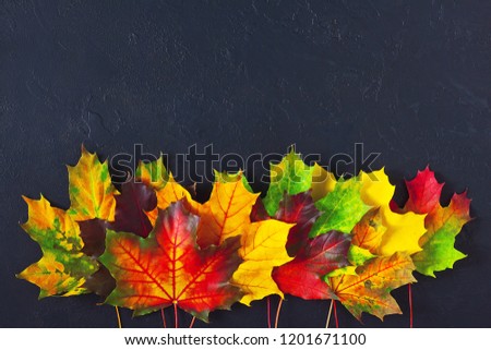 Creative autumn layout with various colored leaves on dark concrete backgound. Top view, copy space