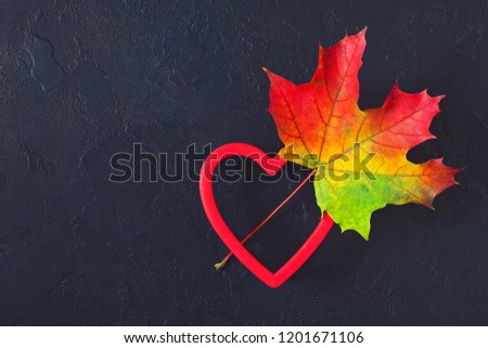 Creative autumn layout with various colored leaf and heart shape on dark concrete backgound. Top view, copy space