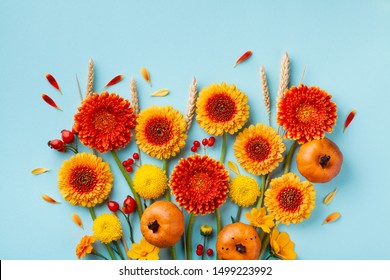 Creative autumn nature composition with orange and yellow gerbera flowers, decorative pumpkins, wheat ears on blue background. Thanksgiving day concept. Flat lay.