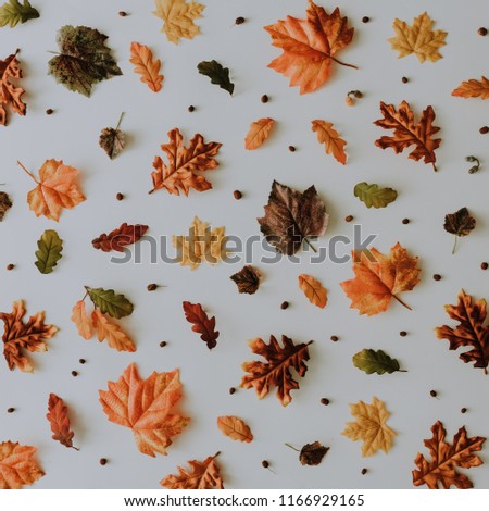 Creative autumn pattern made with yellow fallen laeves and berries. Minimal flat lay. Nature concept.