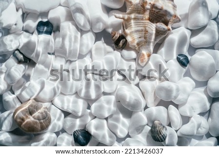 Creative background abstract image of medium-sized white black rounded smooth pebble stone and shells under transparent water with waves. Backdrop sea bottom pattern surface. Copy space. Top view