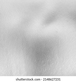 Creative Background With Detailed Texture Of Human Skin. Close Up Part Of Female Body. Skincare, Bodycare, Healthcare, Hygiene And Medicine Concept. Black And White Picture. Macro Photography.