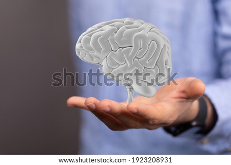 Creative background, the human brain on a blue background, the hemisphere