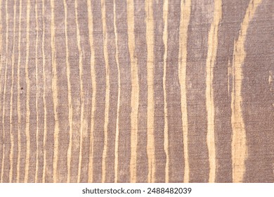 Creative background made of unique wood texture