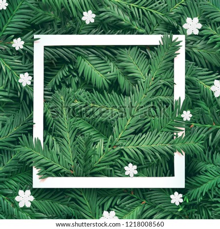 Creative background of pine branch with white paper frame and stars. New Year and Merry Christmas Concept. Flat Lay.