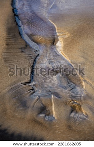 Similar – Image, Stock Photo Dead Dove IV Pigeon Animal