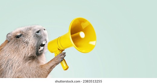 Creative boss capybara holds a yellow loudspeaker in his paw and screams, concept. Advertising and management, creative idea.
