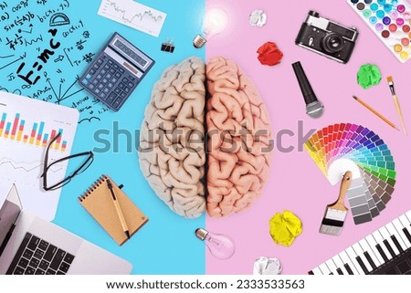 Creative brain with left math business functions and right creative art ability. Logic, mind and skills, creative idea. Teaching choice, concept. School and college. Genius