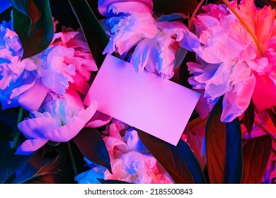 Creative bright floral background with white peonies and blank paper card illuminated with red and blue neon light, flat lay, copy space. Template for party invitation, poster, banner. - Powered by Shutterstock