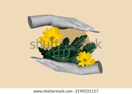 Creative collage image of human arms black white gamma hold protect little turtle flowers isolated on painted background