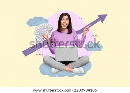 Creative collage photo 3d poster postcard of happy girl sit netbook cash career promotion hand point graph isolated on drawing background