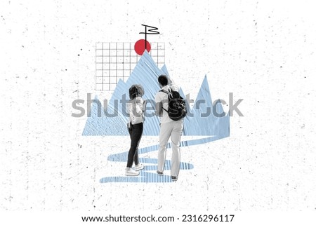 Creative collage picture of two black white colors people point finger demonstrate mountain top target flag isolated in painted background