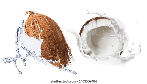 Creative Collection Set With Flying In Air Fresh Ripe Whole And Cracked Coconut With Milk Splashes  Isolated On White Background. Food Levitation Concept. High Resolution Image, 3d Concept