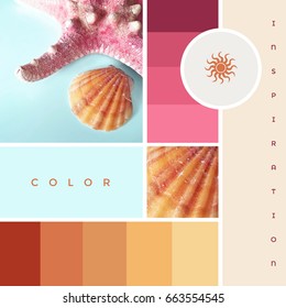 Creative Colorful Summer Theme Mood Board With Starfish, Seashell And Inspiring Color Gradients In Red, Blue And Pink Hues