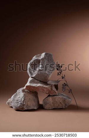 Creative composition of clay stones and dry flower stalk on a dark brown background. Mock up for beauty products