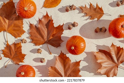 Creative composition made of pumpkins, acorns and brown maple leaves on pastel background. Autumn, fall, halloween concept. Flat lay, top view.