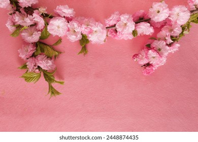 Creative composition of pink flowers and pink background. Flowerscape flat lay.