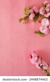 Creative composition of pink flowers and pink background. Flowerscape flat lay.
