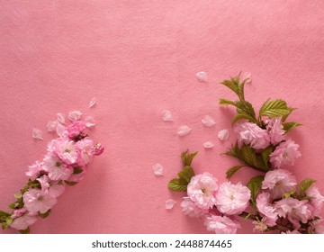 Creative composition of pink flowers and pink background. Flowerscape flat lay.