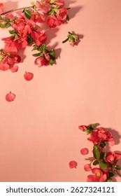 Creative composition of pink flowers and pink background. Flowerscape flat lay.