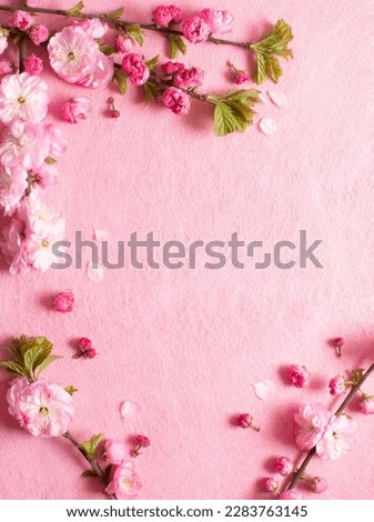 Creative composition of pink flowers and pink background. Flowerscape flat lay.