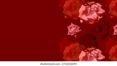 Composición creativa con rosa
