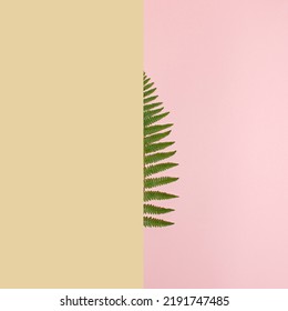 Creative Concept Of Forest Treeline On Beige And Pink Background. Flat Lay.