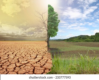 creative concept image compare of global warming. 