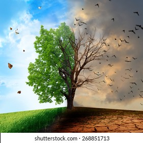 Creative concept landscape. Live and dead tree - Powered by Shutterstock