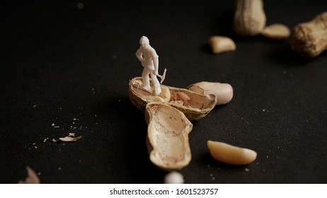 Creative concept with miniature people. People Working with Food, Miniature people harvesting nuts/cashews, construction site - Powered by Shutterstock