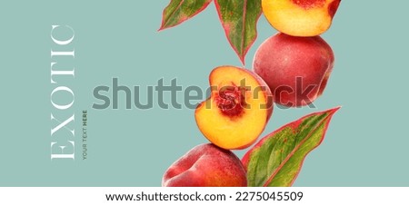 Creative concept of peach on the turquoise background.  Exotic fruits and leaves. Food concept.