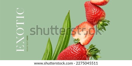 Creative concept of strawberry on the green background.  Exotic fruits and leaves. Food concept.