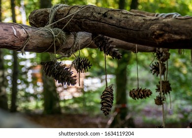 Creative Construction Of A Forest Kindergarten