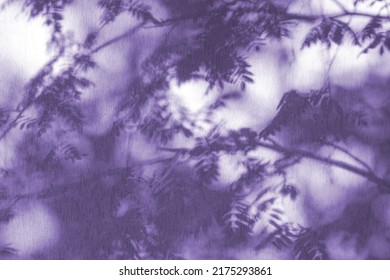 Creative copy space with shadows of leaf on a soft violet wall. Top view of leaves shades on the Very Peri background. Flat lay style. Minimal summer concept with flower shades.