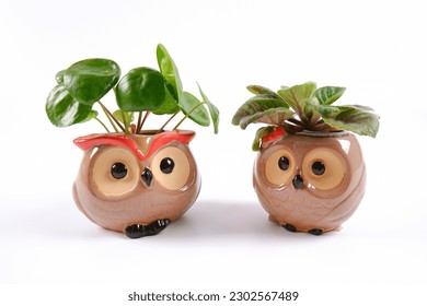 Creative design of stone pots in the form of two owls with a houseplant on a white background. The concept of a flower shop, the production of clay pots, a greenhouse, garden decoration.Copyspace