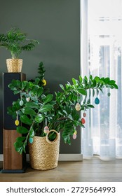 Creative easter home decor with decorative eggs on zamioculcas plant leaves in stylish living room environment representing festive atmosphere and spring renewal