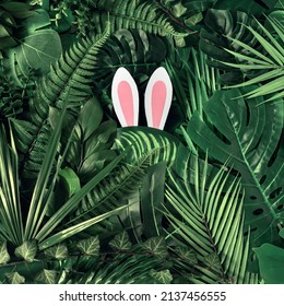 Creative Easter nature background. Green tropical palm leaves with pink Easter bunny ears. Minimal spring abstract jungle or forest composition. Contemporary style.Happy Easter.