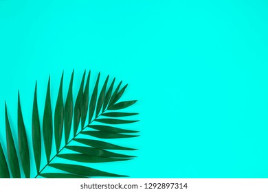 Creative flat lay top view of green tropical palm leaves on color paper background with copy space. Minimal tropical palm leaf plants summer concept template for your text or design - Shutterstock ID 1292897314