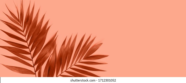 Creative flat lay top view of green tropical palm leaves on peach paper background. Copy space for your text or design.