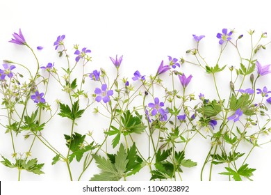 Creative flat layout border of wildflowers, isolated on white background, top view. Concept spring, summer, Mother's Day holiday, March 8. Composition border of flowers.Floral abstract background.