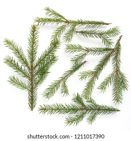 Imágenes, fotos de stock y vectores sobre Pine Tree Needles | Shutterstock