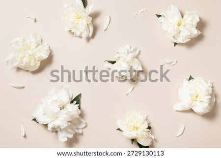 A creative floral pattern featuring scattered white peony flowers and loose petals on a pastel beige background. Romantic flat lay perfect for wallpapers, wrapping paper designs, or wedding backdrops