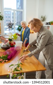 Creative Floristry. Nice Elderly Woman Cutting A Flower Branch While Enjoying Floristry