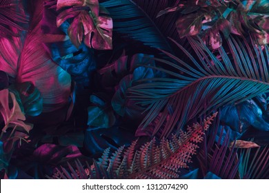 Kreatives fluoreszierendes Farblayout aus tropischen Blättern. Flat lag Neonfarben. Naturkonzept.